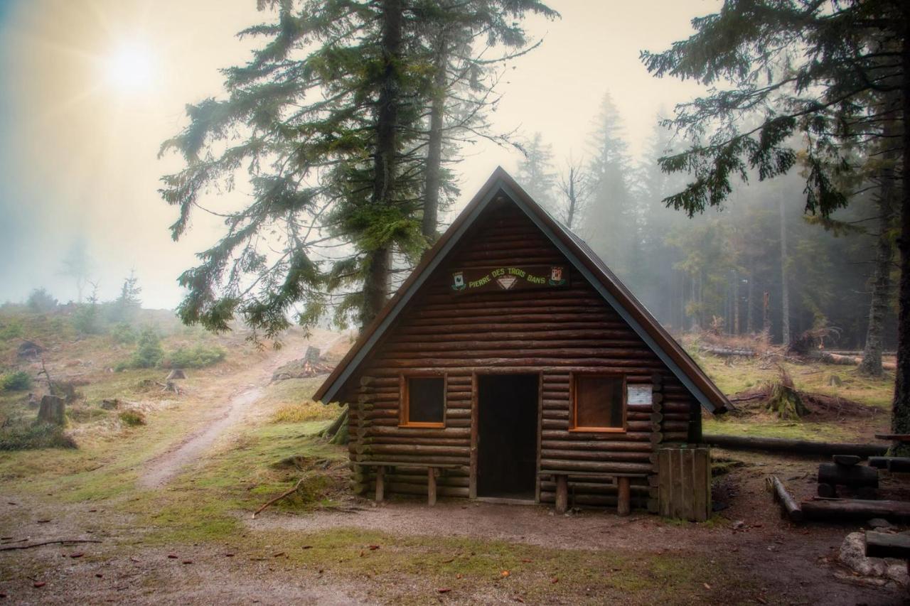 Gite Aux Sapins Sainte-Marie-aux-Mines Esterno foto