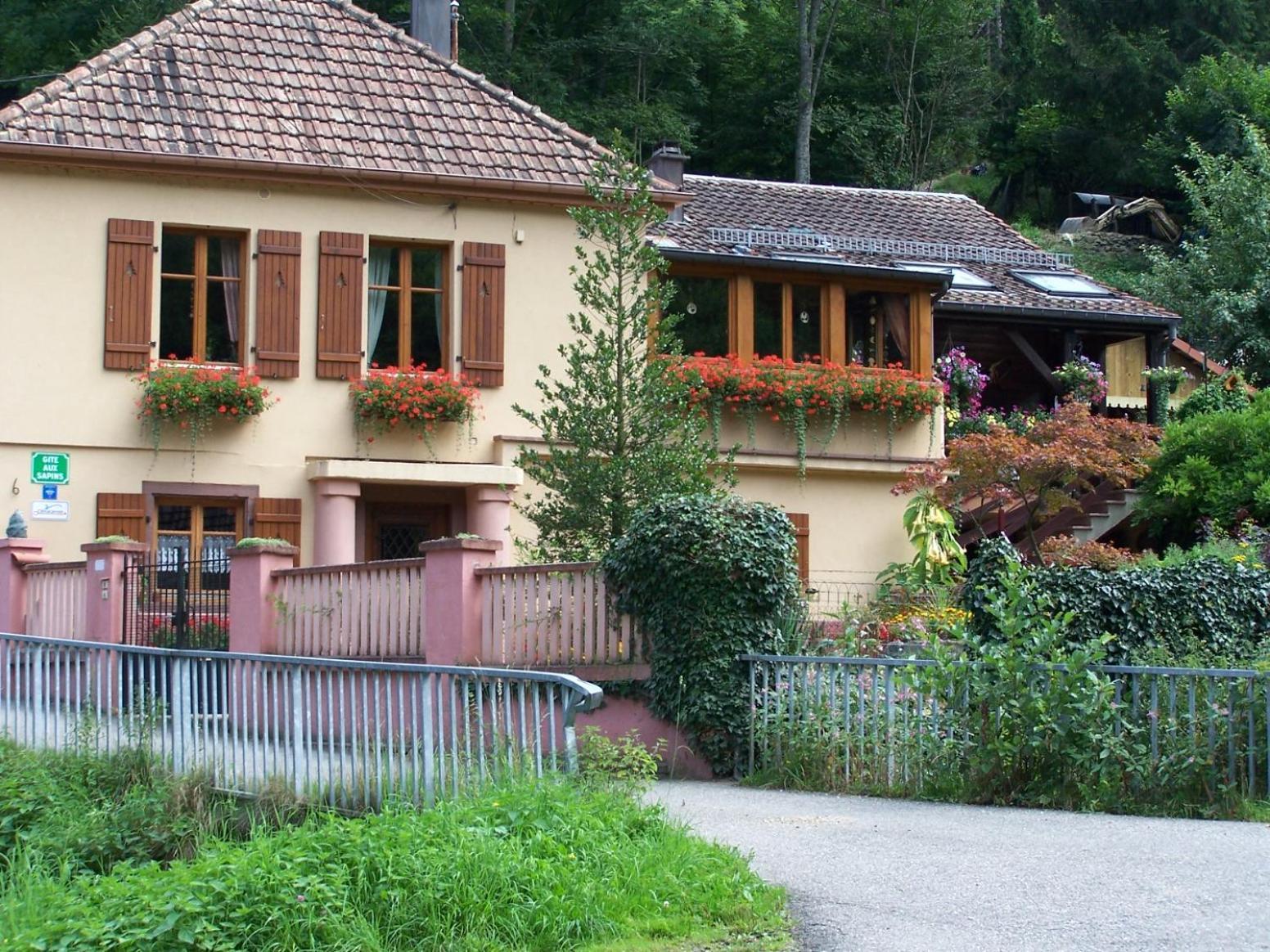 Gite Aux Sapins Sainte-Marie-aux-Mines Esterno foto