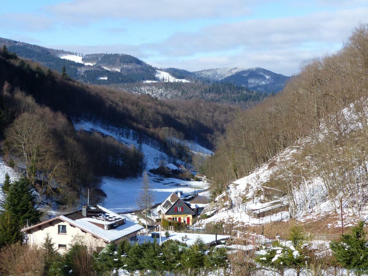 Gite Aux Sapins Sainte-Marie-aux-Mines Esterno foto